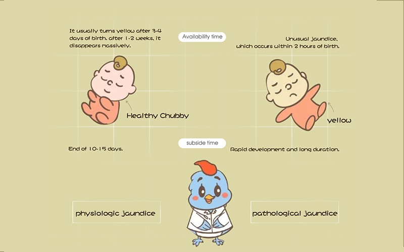 What are the causes of neonatal jaundice